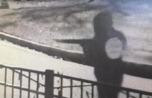 Armed Man at Nursing Home in Jackson; Butts County Sheriff Seeks Identification